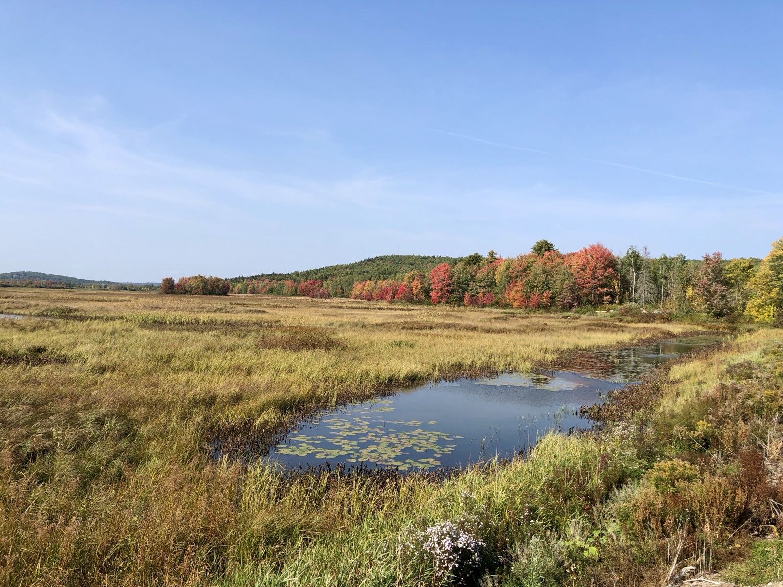 Autumn scene at Moosehorn National Wildlife Refuge
