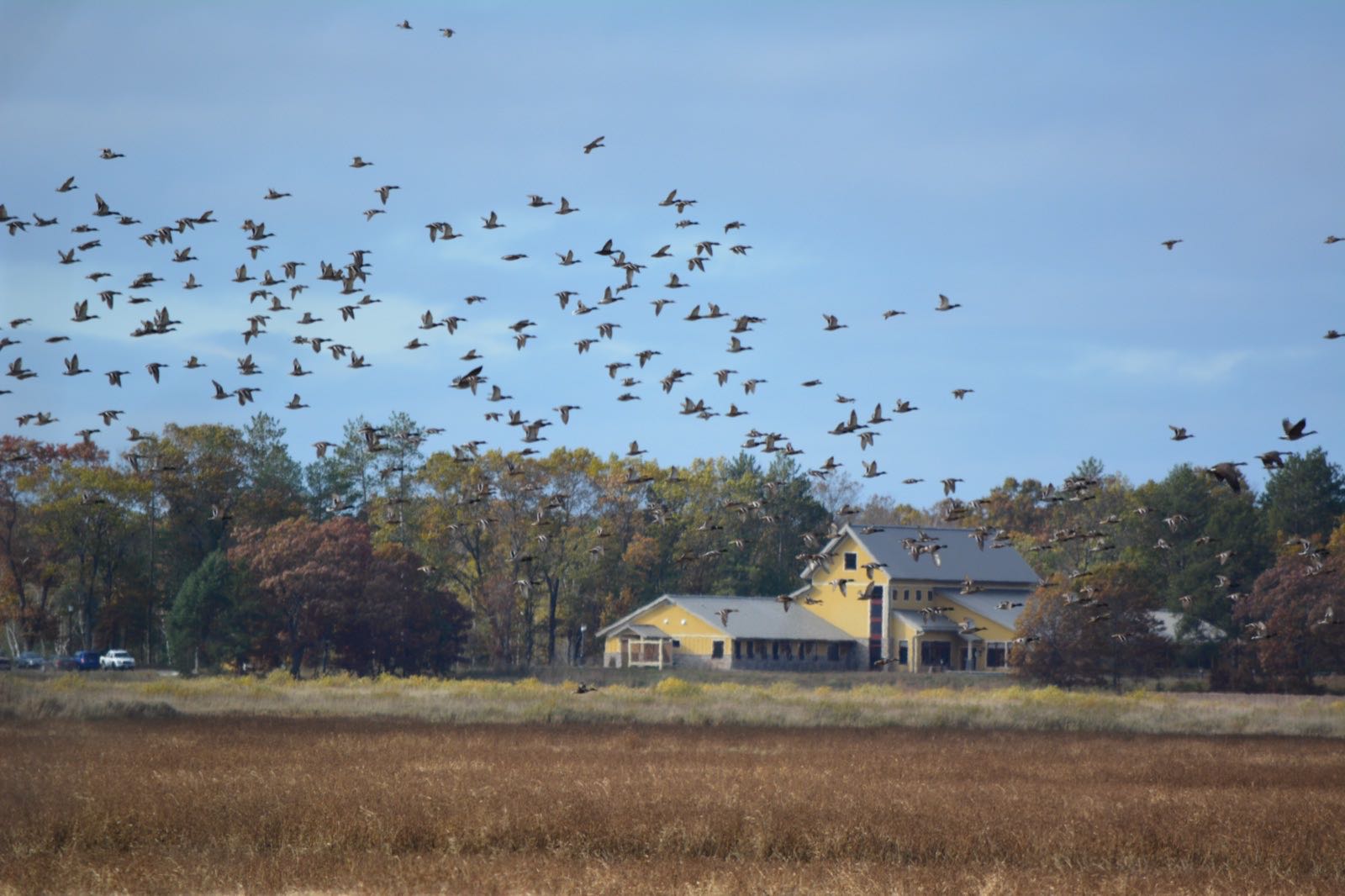 Fall migration at Necedah National Wildlife Refuge's visitor center