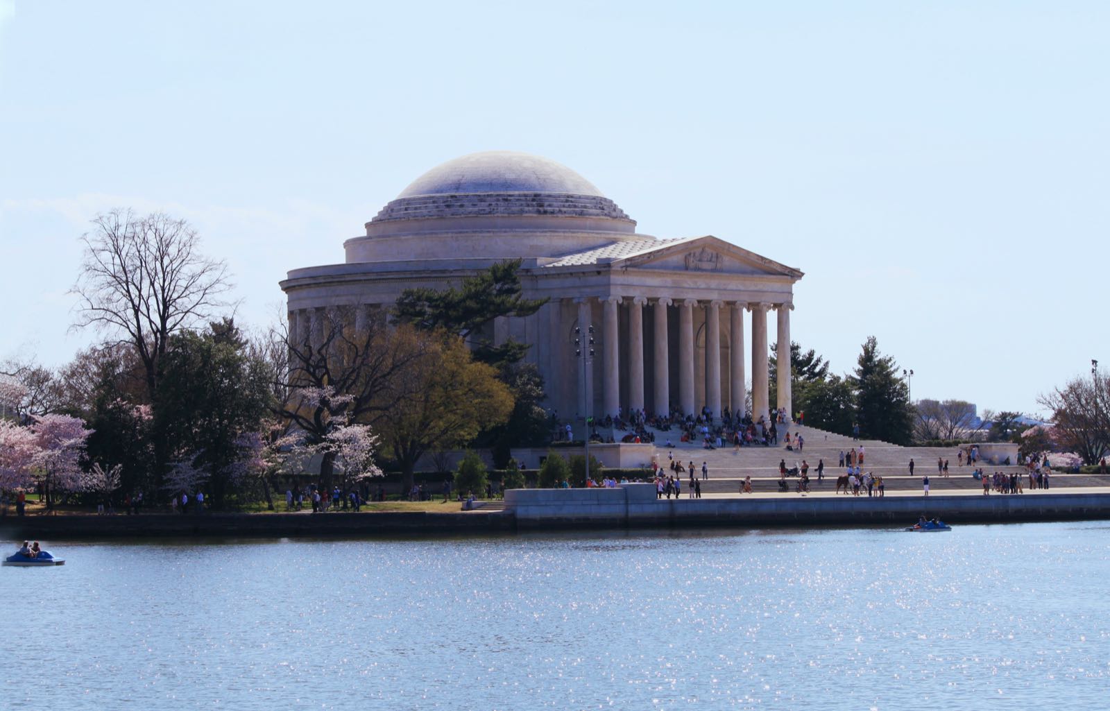 Cherry trees bloom beside the Jefferson Memorial across the Tidal Basin
