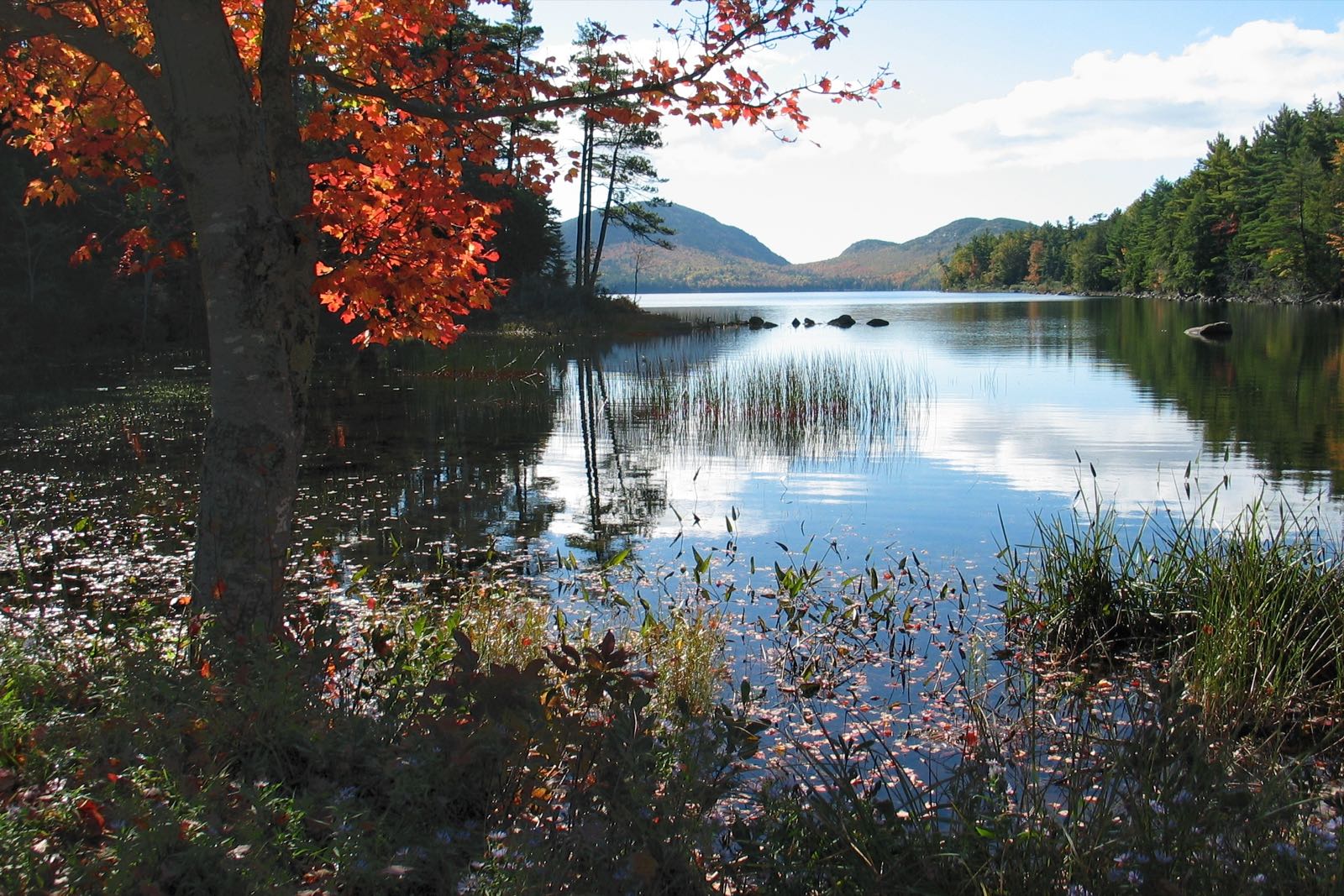 Red autumn leaves frame Eagle Lake in Acadia National Park