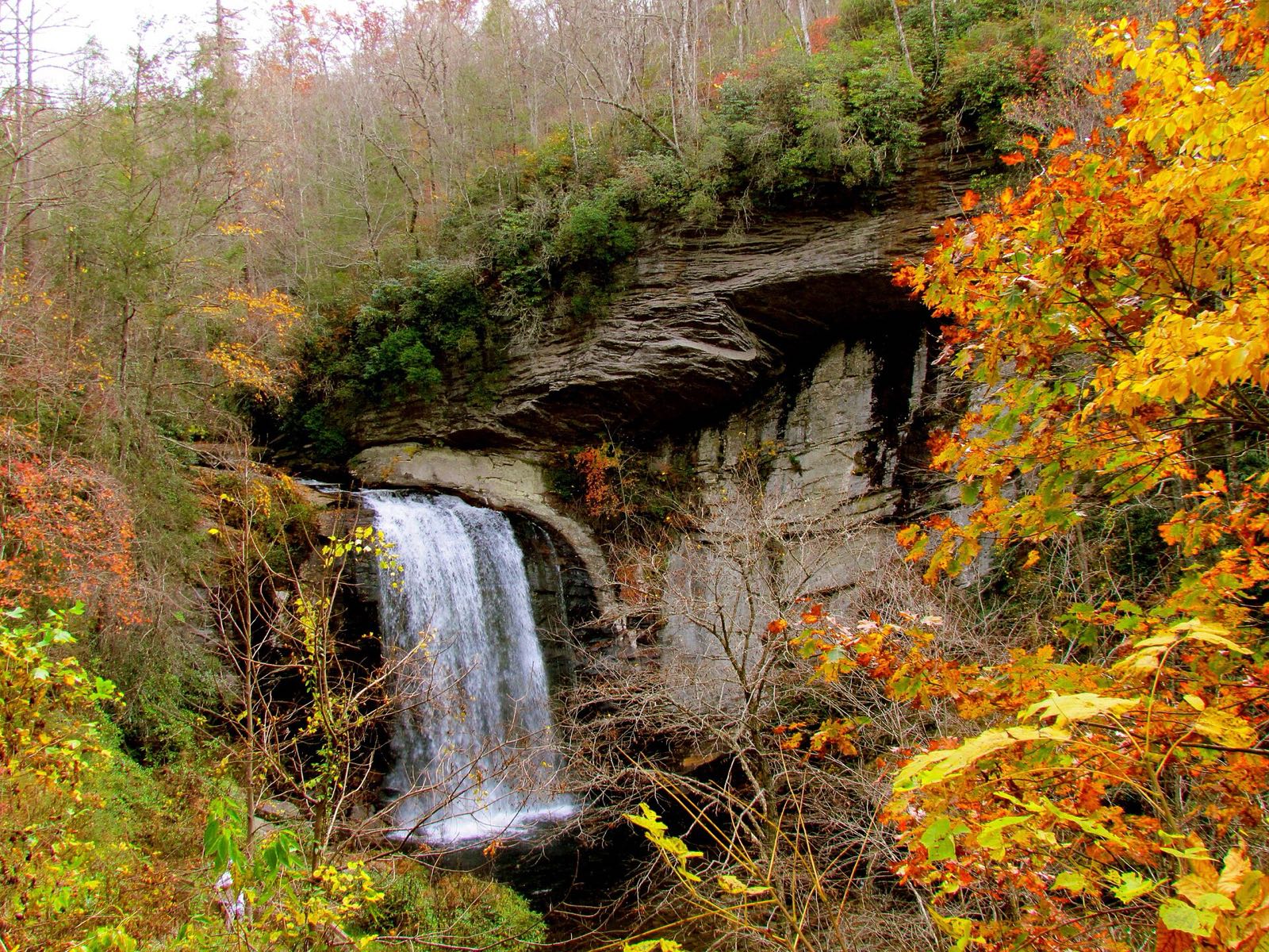 Looking Glass Falls under its rock ledge, framed by bright yellow and orange fall leaves