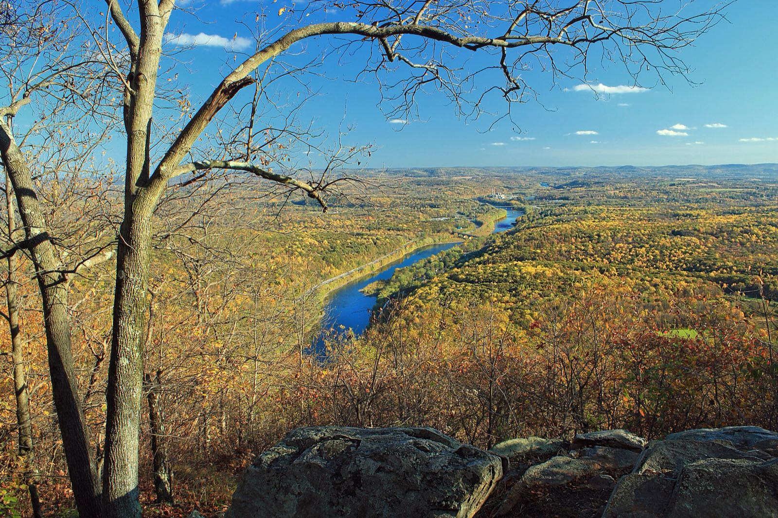 The Delaware River winding through a valley of gold and orange fall forest, seen from a rocky ledge on the Appalachian Trail; bare trunks in the left foreground, a power plant small on the far bank