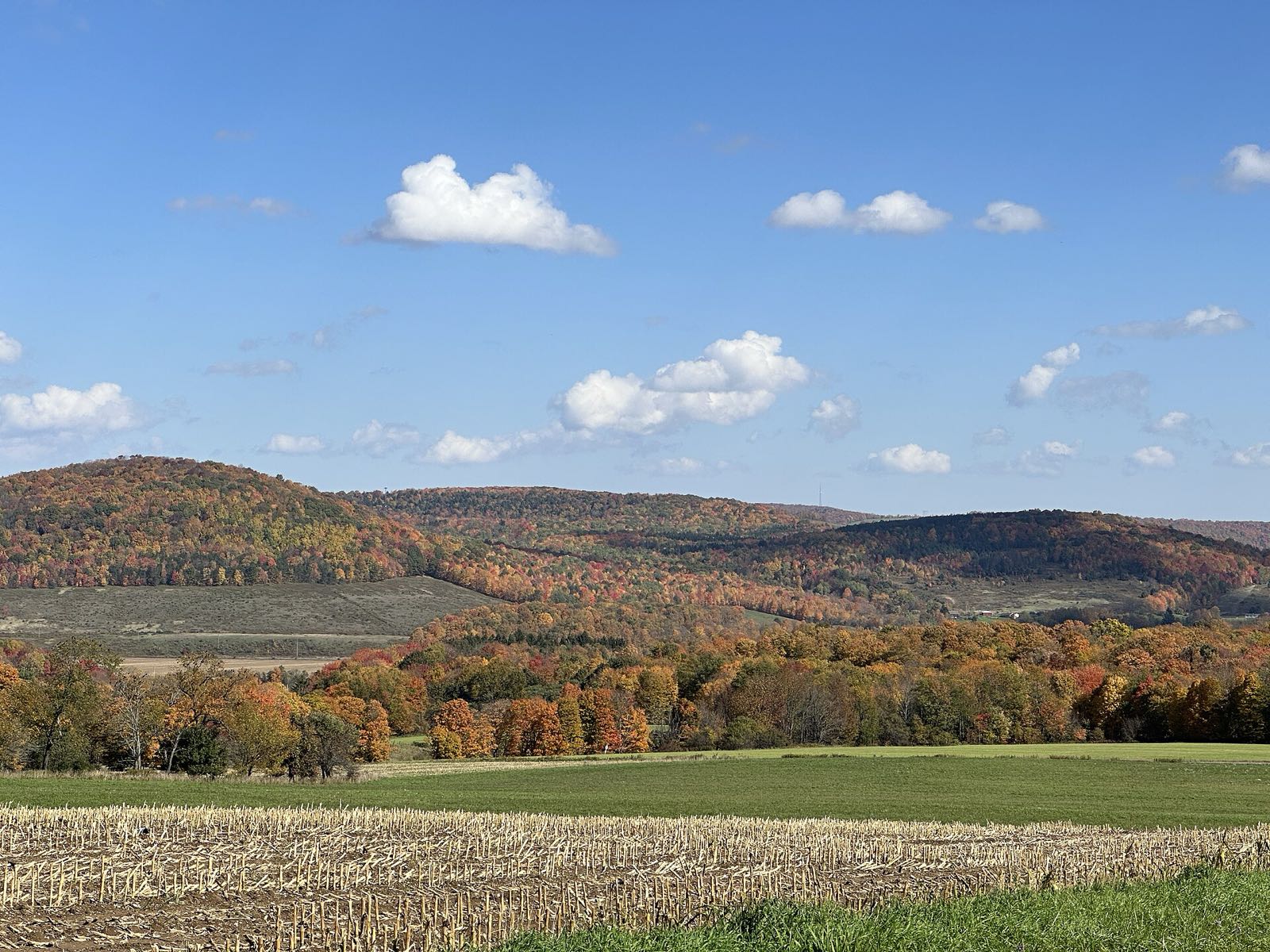 Rolling wooded hills and pasture strips in orange, red and gold fall color under a blue sky with white clouds