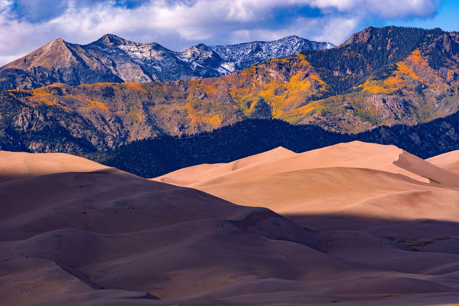 Sunlit dunes below a mountainside with patches of golden aspens and fresh snow on the peaks