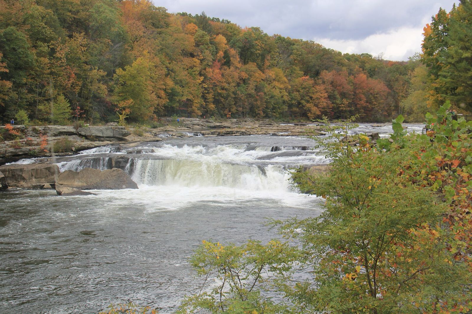 Ohiopyle Falls on the Youghiogheny River with the wooded slope behind in orange, rust and yellow fall color; a green-and-yellow bush covers the right side