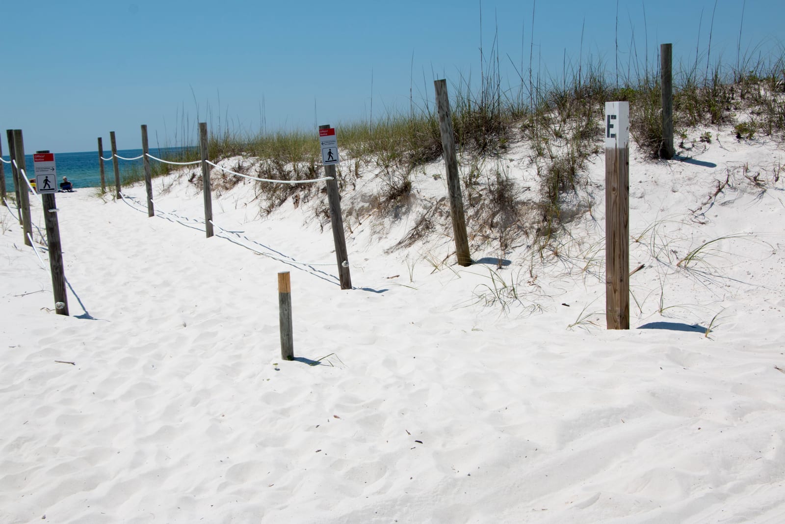 White sand path between rope-and-post fences over grassy dunes, with the blue Gulf beyond