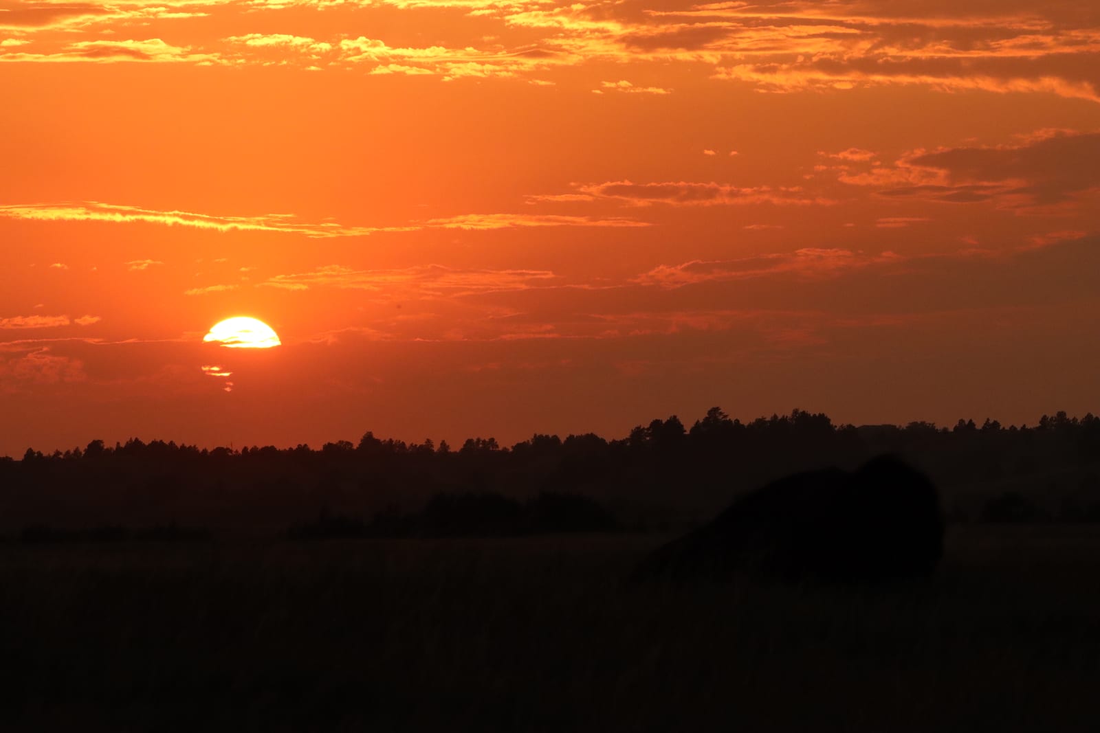 An orange sun setting into a dark horizon of prairie and trees under a glowing sky