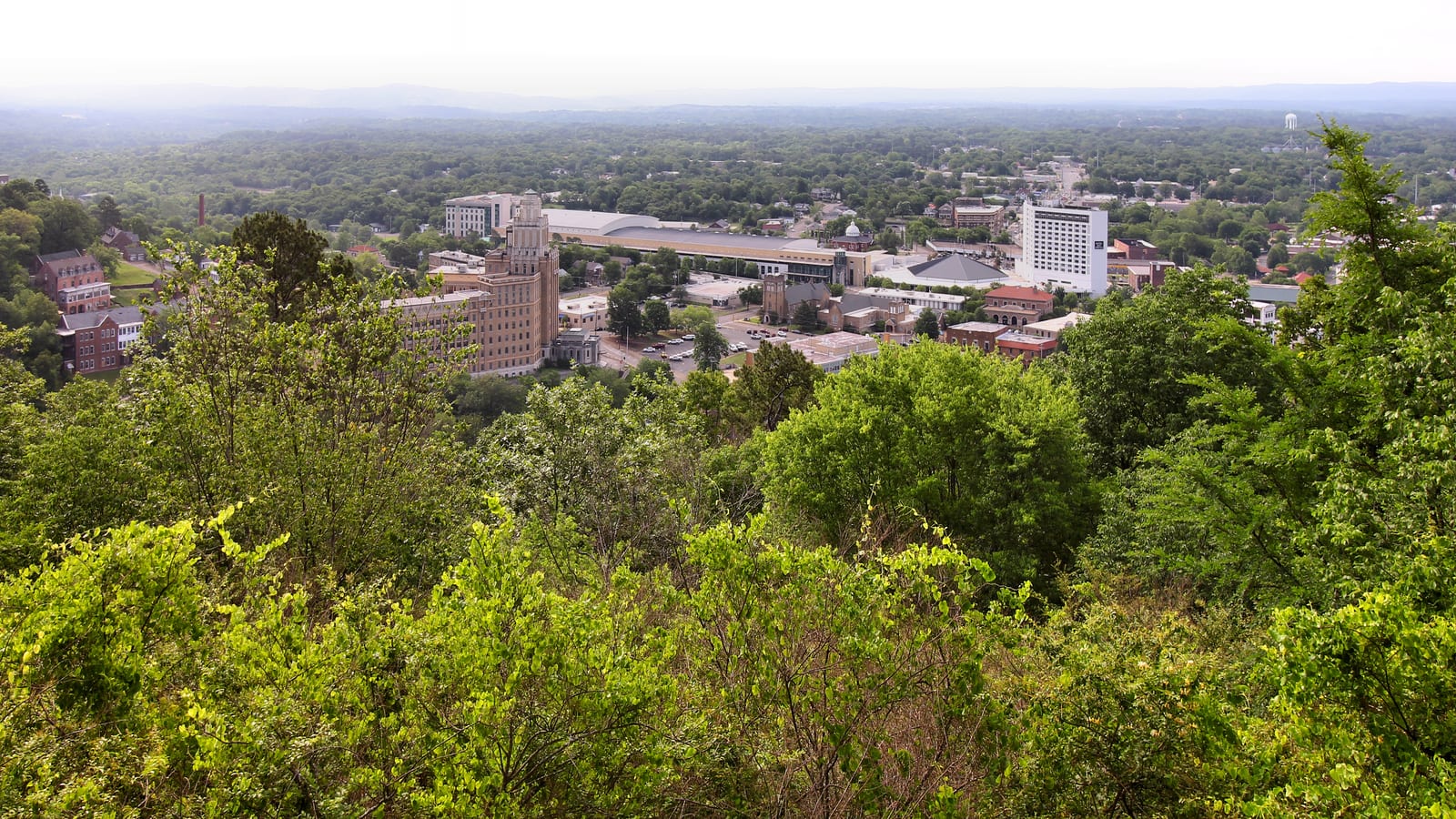 Green treetops in front, with the town of Hot Springs and its tall buildings spread out below