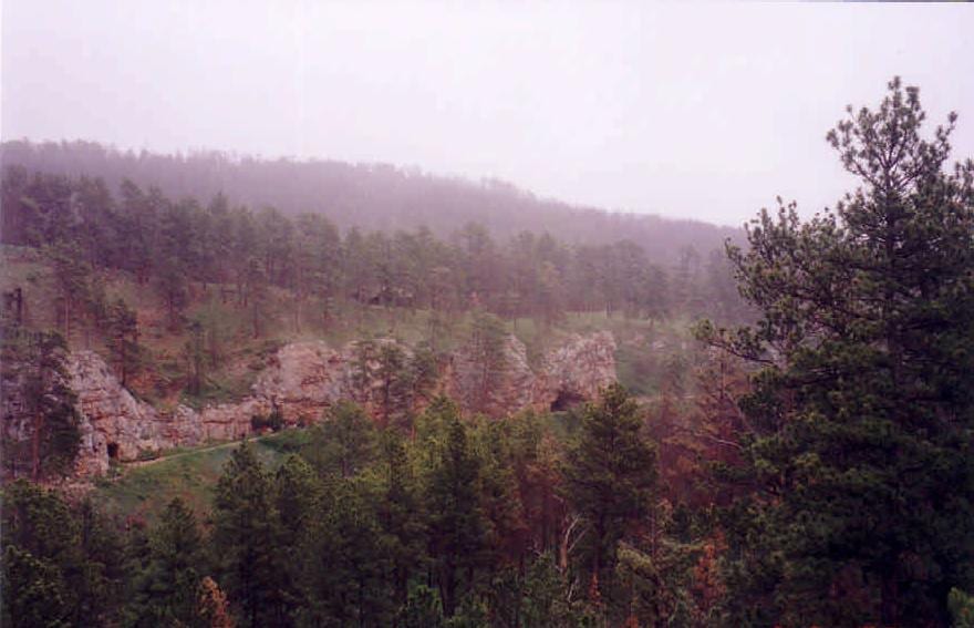 Ponderosa pines and pale cliffs on a hazy hillside