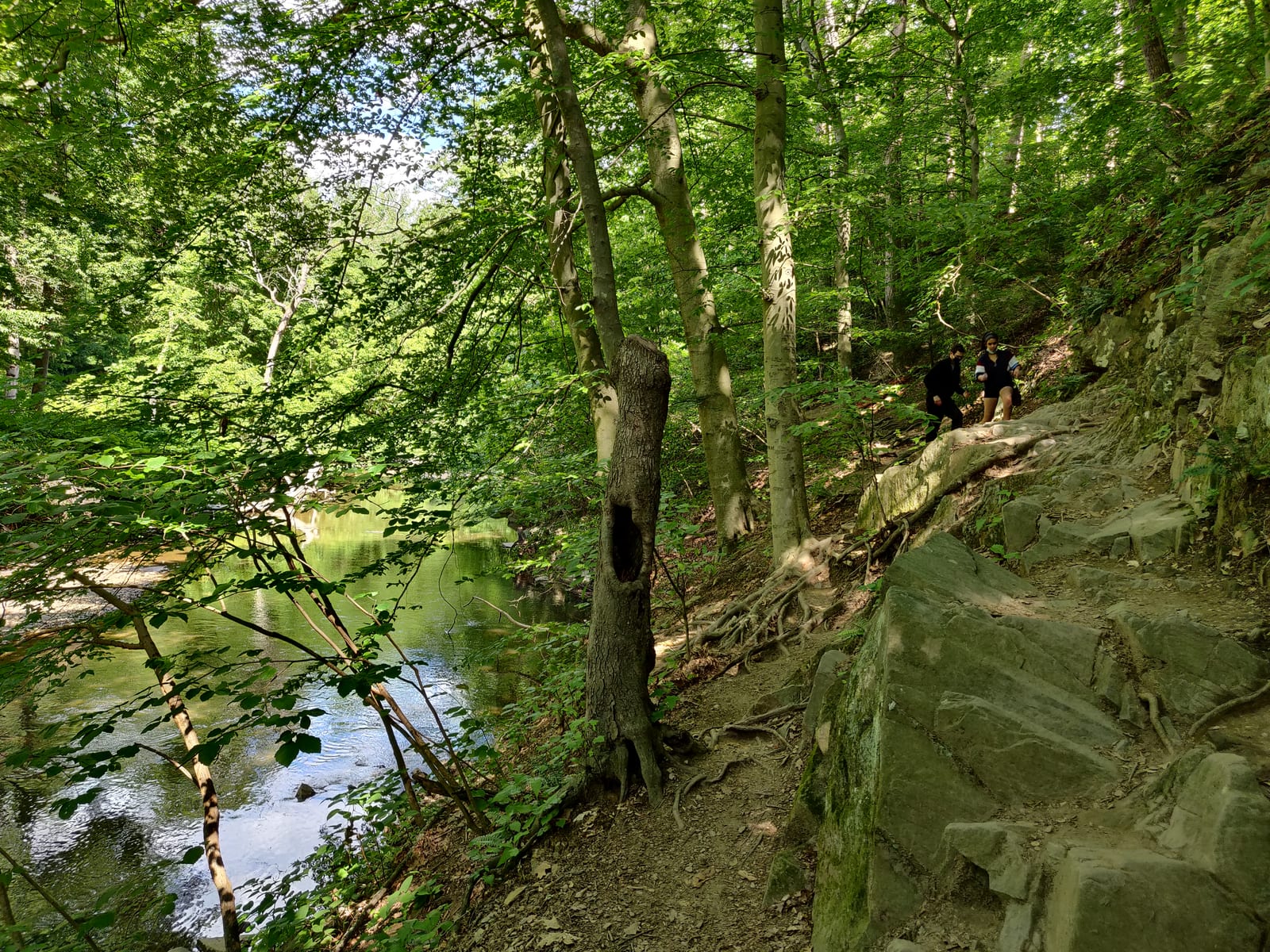 A rocky trail along a wooded slope above the creek, under bright green summer trees