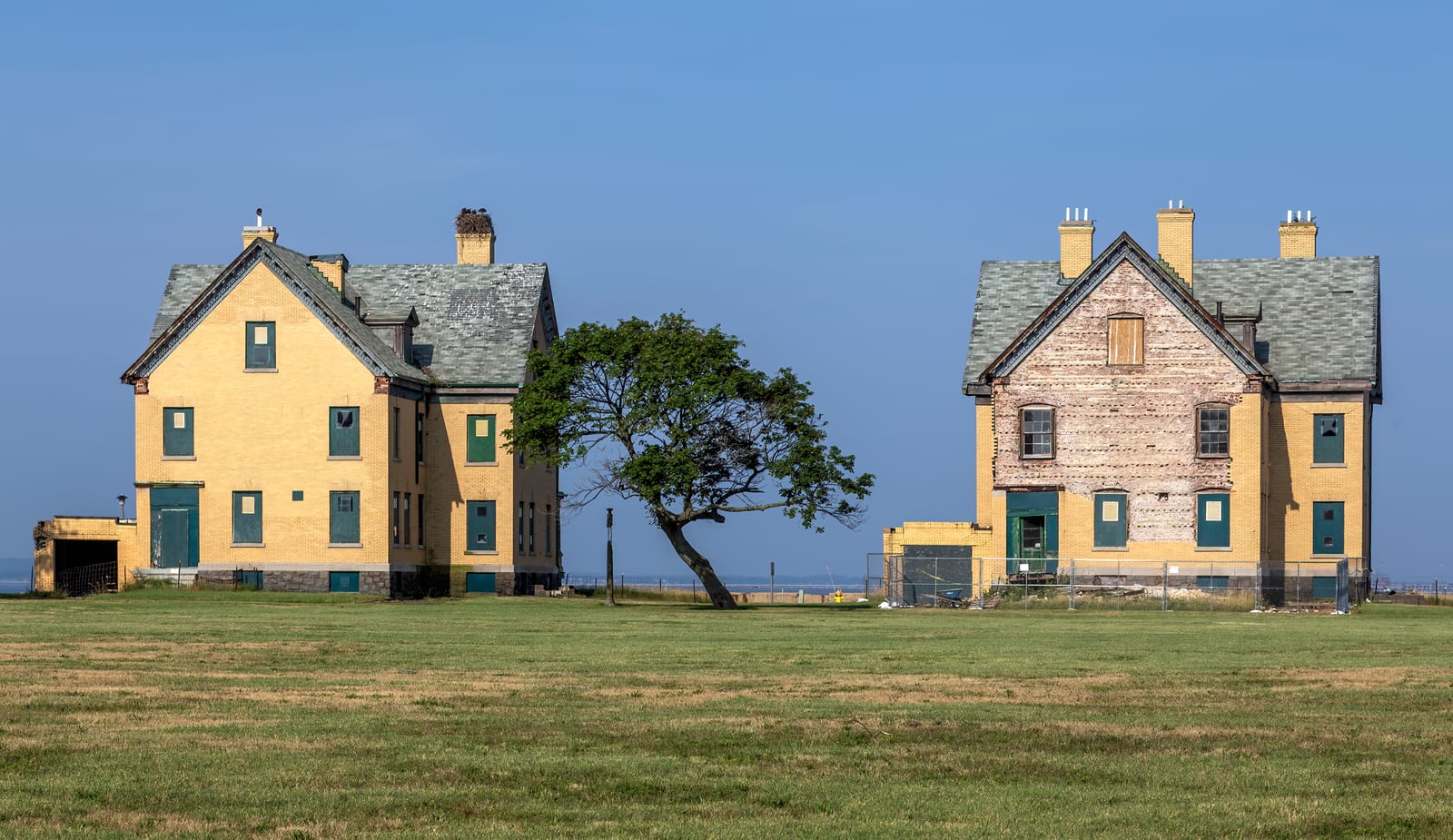Two yellow brick houses with gray roofs and a windswept tree between them, on a green lawn under a blue sky