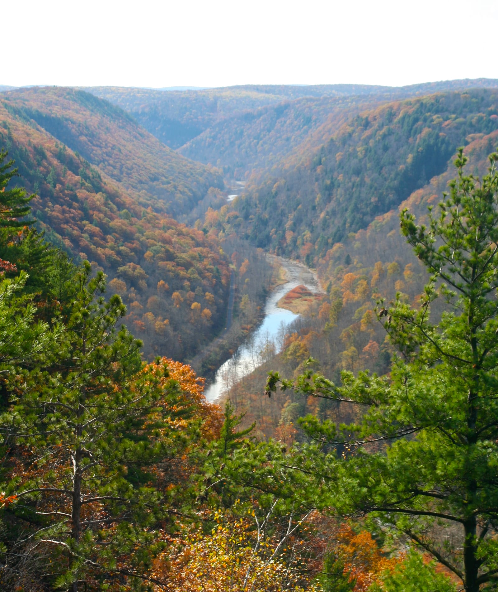 A deep forested gorge with a river winding through it, its slopes in muted orange, brown and green, with pines in front