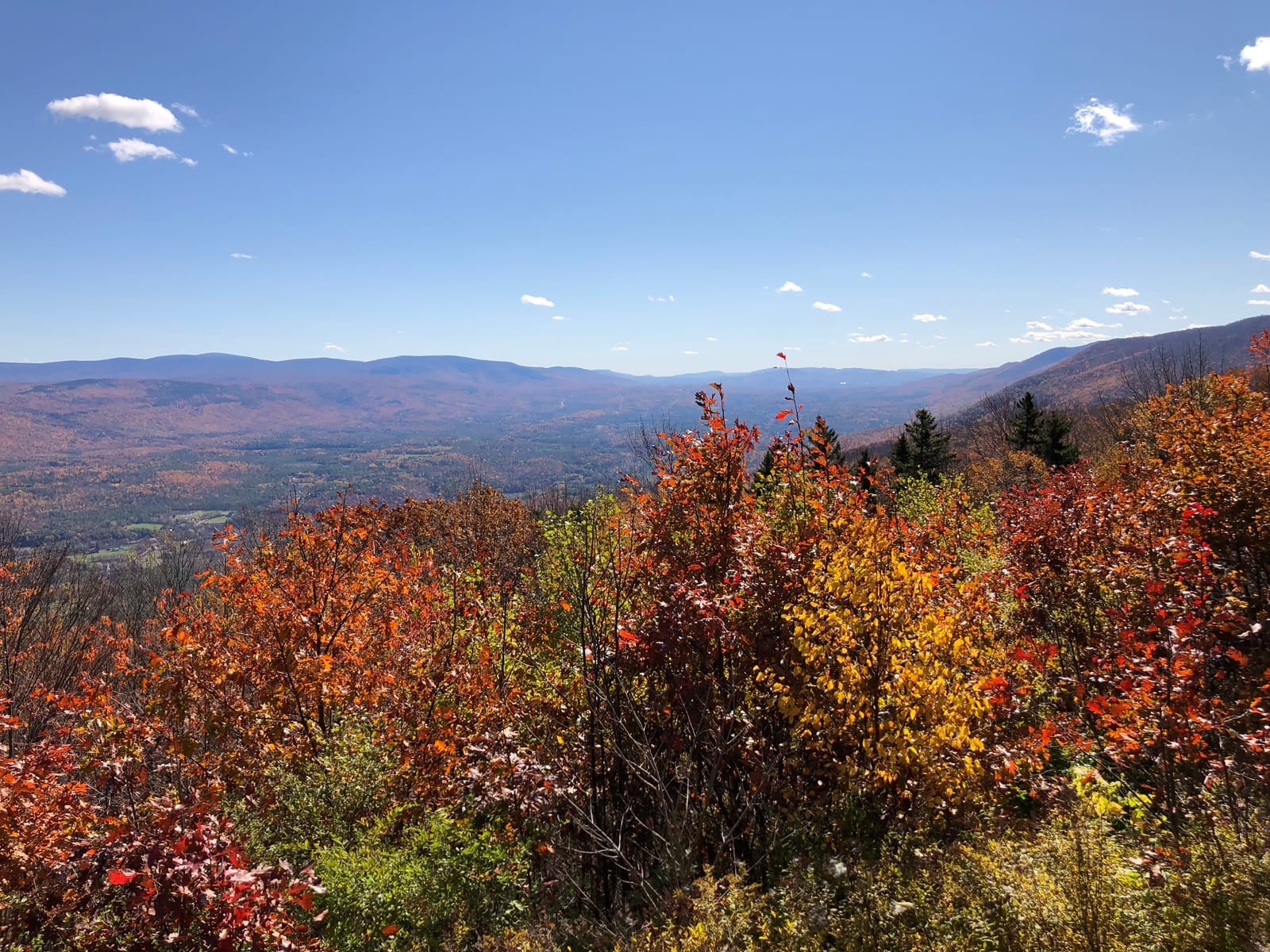 Red, orange and yellow shrubs and trees in front of a wide valley and distant blue ridges under a blue sky