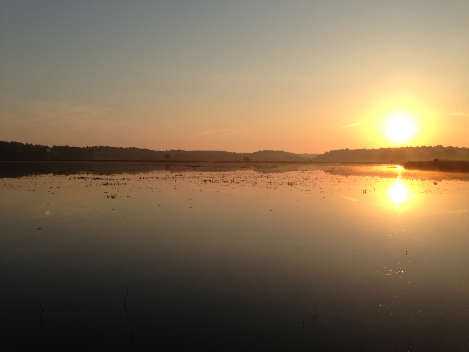 Sunrise at Great Meadows National Wildlife Refuge