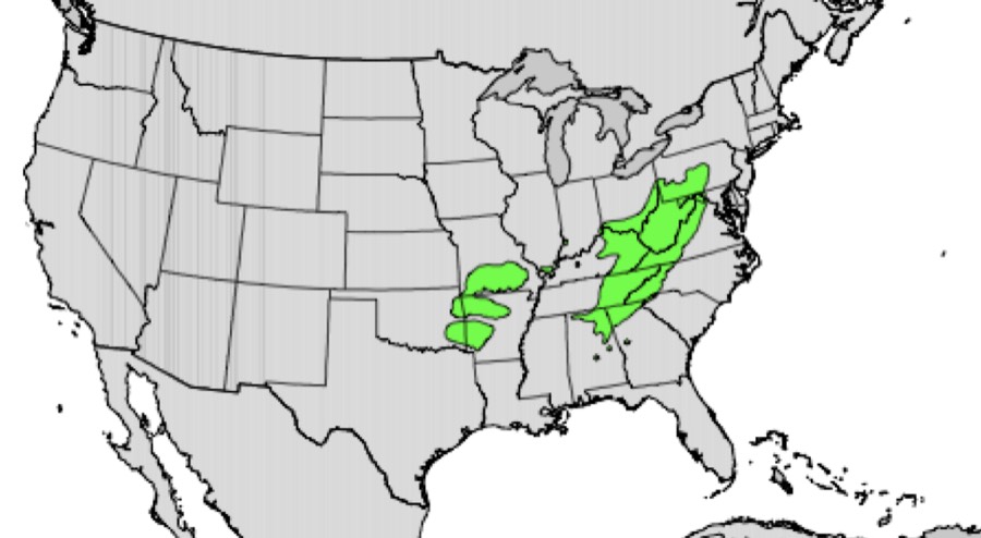Range of black locust (green)