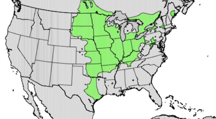 Range of bur oak (green)