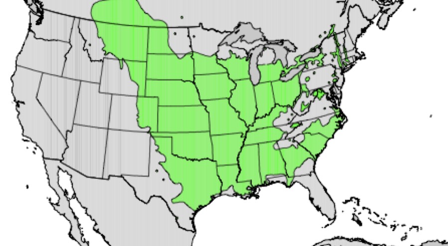 Range of eastern cottonwood (green)