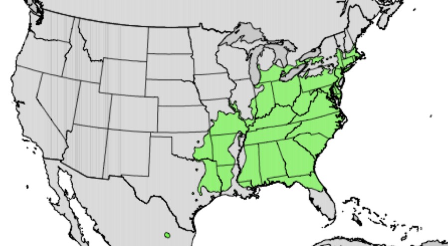Range of flowering dogwood (green)
