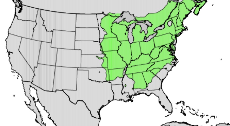 Range of northern red oak (green)