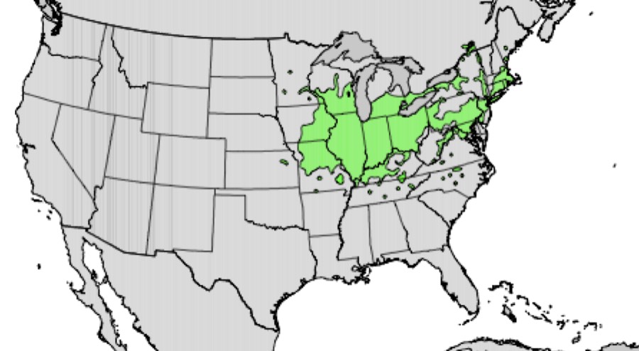 Range of swamp white oak (green)