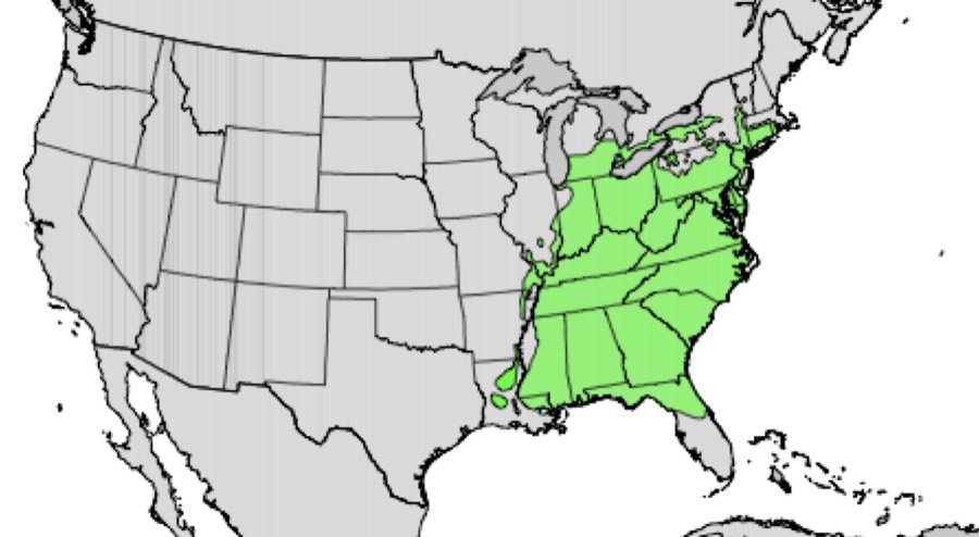 Range of tuliptree (green)