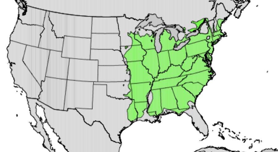 Range of white oak (green)